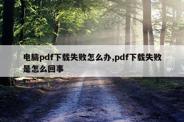 电脑pdf下载失败怎么办,pdf下载失败是怎么回事