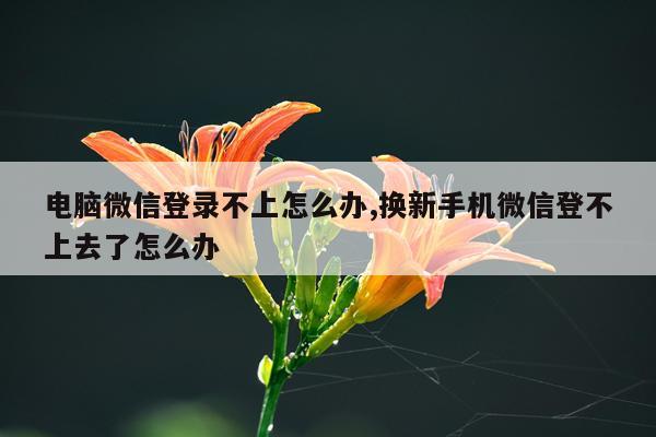 电脑微信登录不上怎么办,换新手机微信登不上去了怎么办