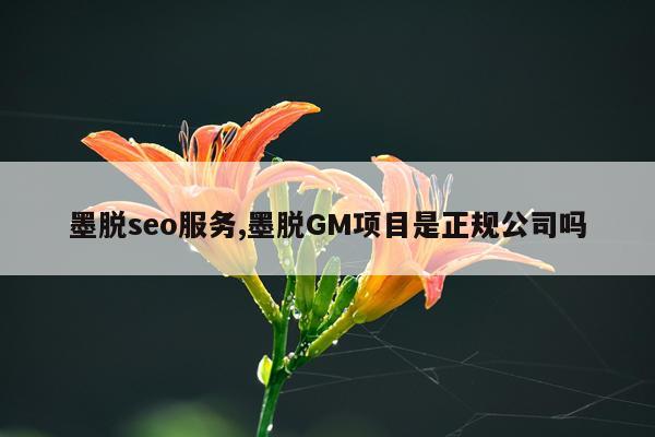 墨脱seo服务,墨脱GM项目是正规公司吗