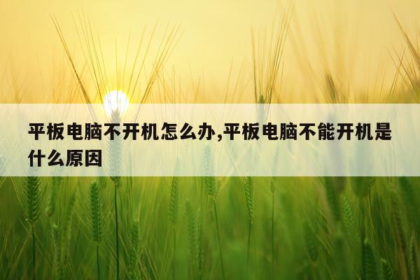 平板电脑不开机怎么办,平板电脑不能开机是什么原因