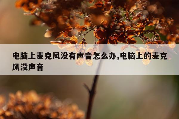 电脑上麦克风没有声音怎么办,电脑上的麦克风没声音