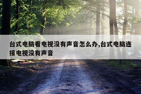 台式电脑看电视没有声音怎么办,台式电脑连接电视没有声音