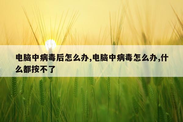 电脑中病毒后怎么办,电脑中病毒怎么办,什么都按不了