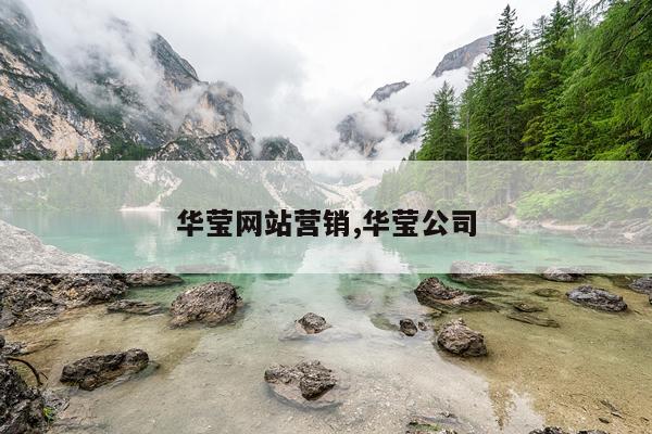 华莹网站营销,华莹公司