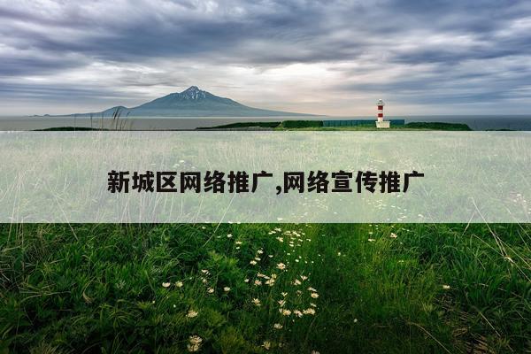 新城区网络推广,网络宣传推广