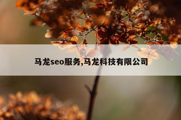 马龙seo服务,马龙科技有限公司