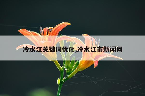 冷水江关键词优化,冷水江市新闻网