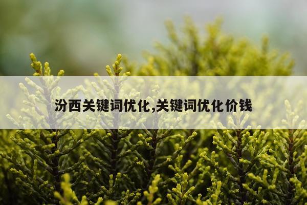 汾西关键词优化,关键词优化价钱