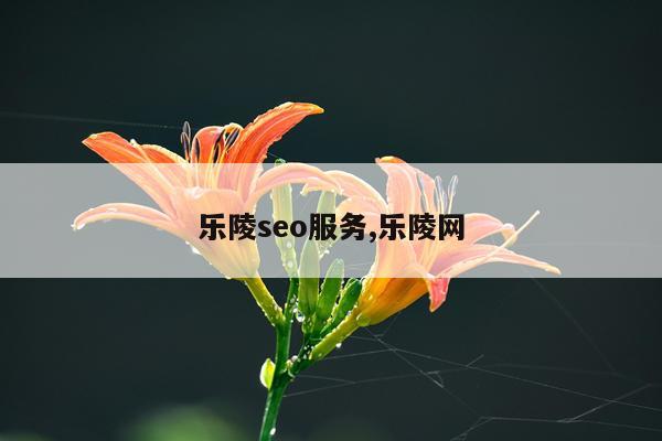 乐陵seo服务,乐陵网