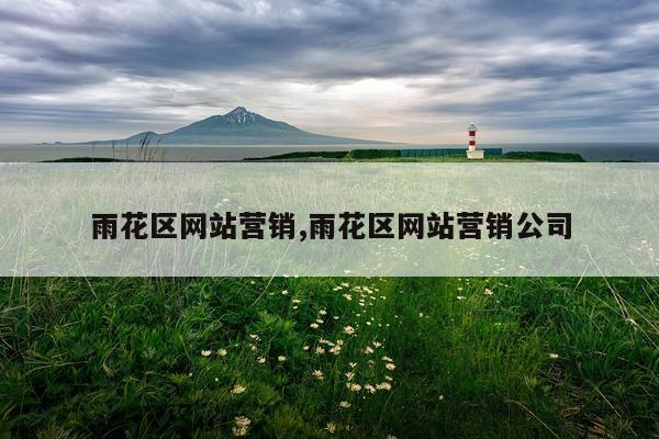雨花区网站营销,雨花区网站营销公司