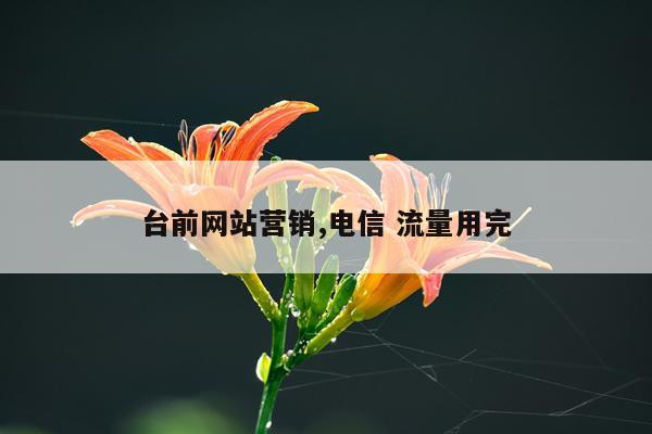 台前网站营销,电信 流量用完