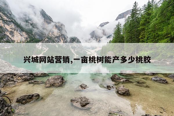 兴城网站营销,一亩桃树能产多少桃胶