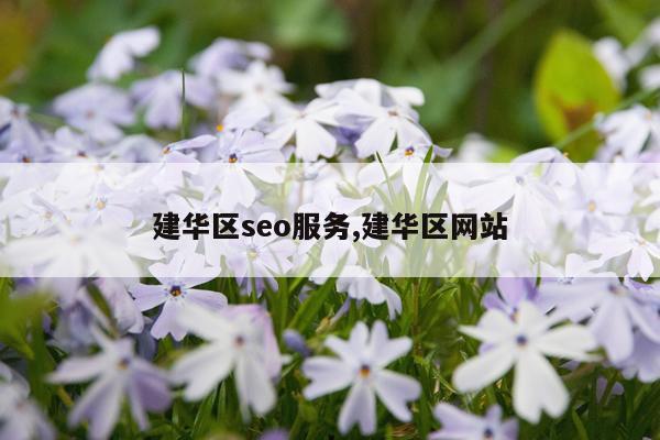 建华区seo服务,建华区网站