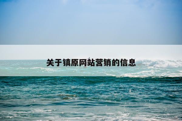 关于镇原网站营销的信息