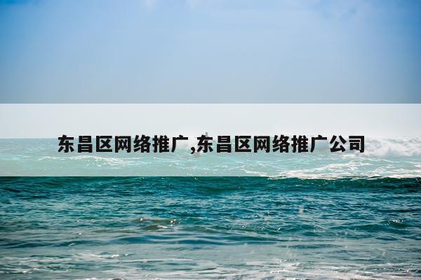 东昌区网络推广,东昌区网络推广公司