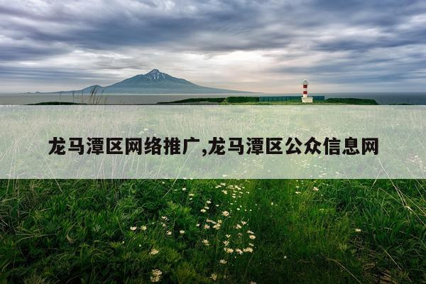 龙马潭区网络推广,龙马潭区公众信息网