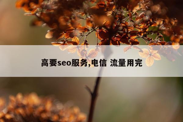 高要seo服务,电信 流量用完