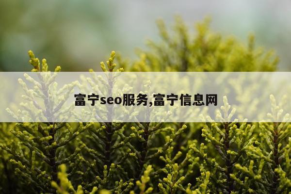 富宁seo服务,富宁信息网
