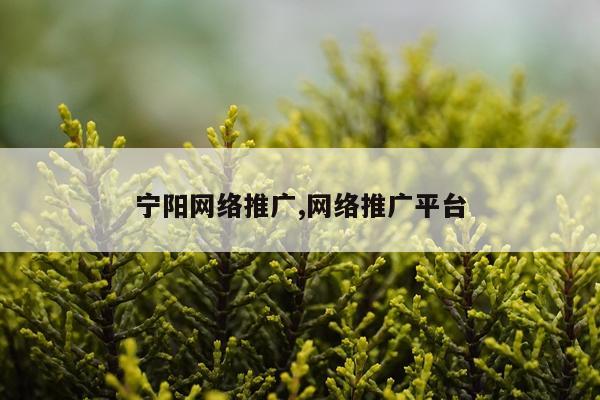 宁阳网络推广,网络推广平台