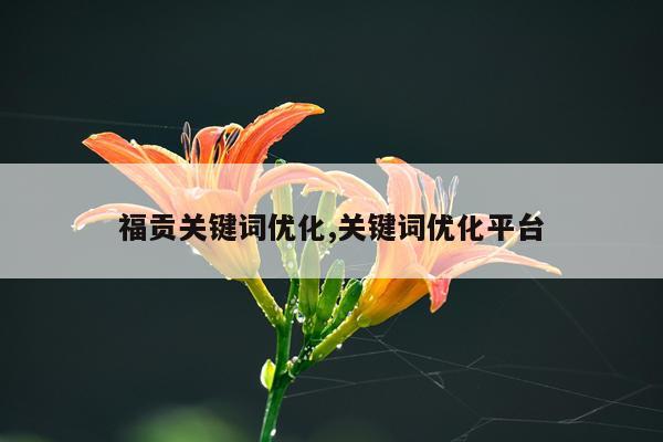 福贡关键词优化,关键词优化平台
