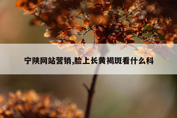 宁陕网站营销,脸上长黄褐斑看什么科