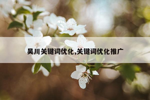 吴川关键词优化,关键词优化推广