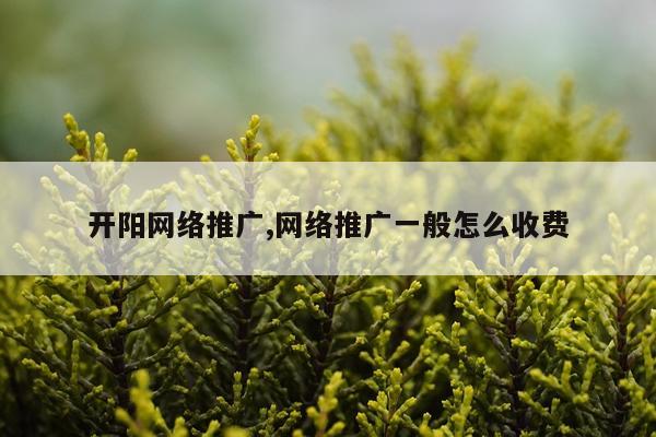 开阳网络推广,网络推广一般怎么收费