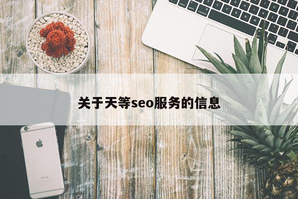 关于天等seo服务的信息