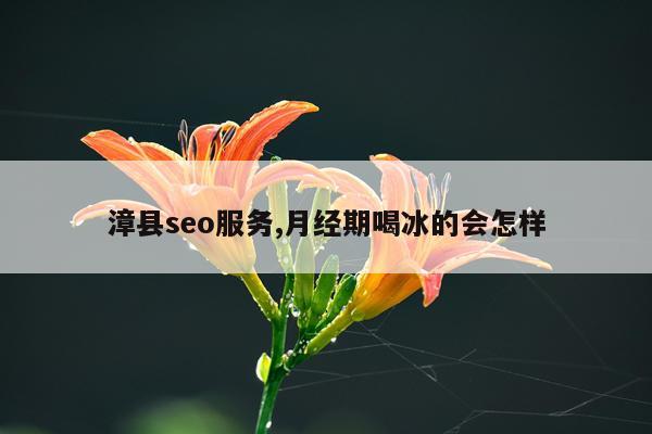 漳县seo服务,月经期喝冰的会怎样