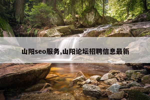 山阳seo服务,山阳论坛招聘信息最新