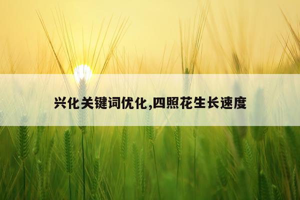 兴化关键词优化,四照花生长速度