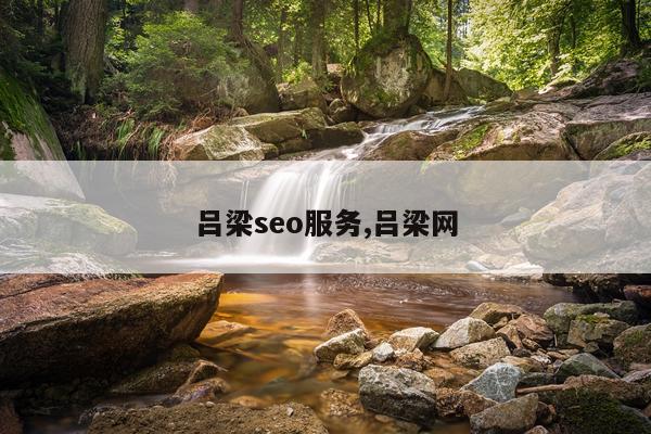吕梁seo服务,吕梁网