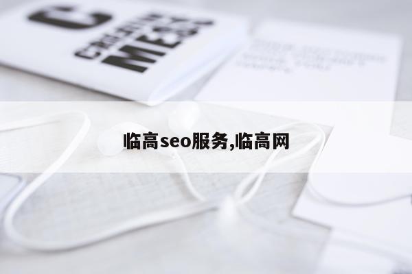 临高seo服务,临高网
