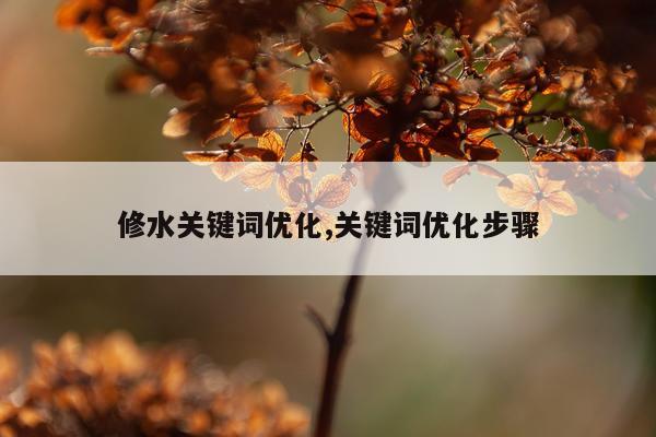 修水关键词优化,关键词优化步骤