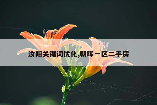 汝阳关键词优化,朝晖一区二手房