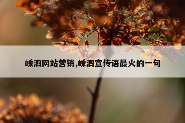 嵊泗网站营销,嵊泗宣传语最火的一句
