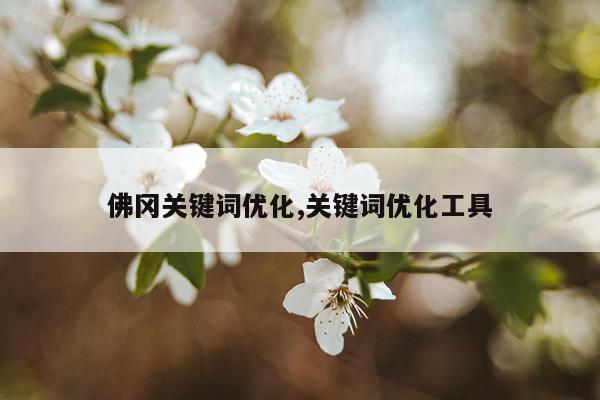 佛冈关键词优化,关键词优化工具