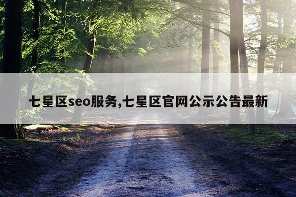 七星区seo服务,七星区官网公示公告最新
