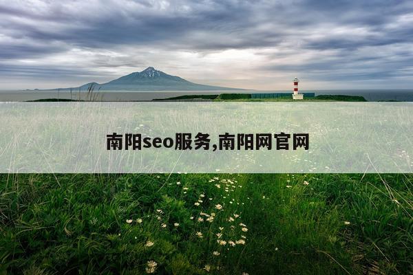 南阳seo服务,南阳网官网