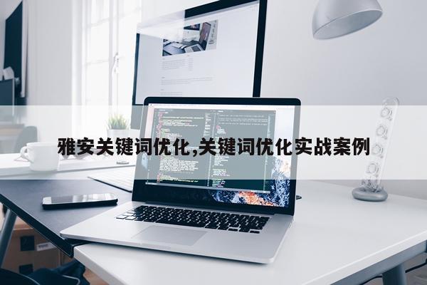 雅安关键词优化,关键词优化实战案例