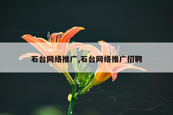石台网络推广,石台网络推广招聘