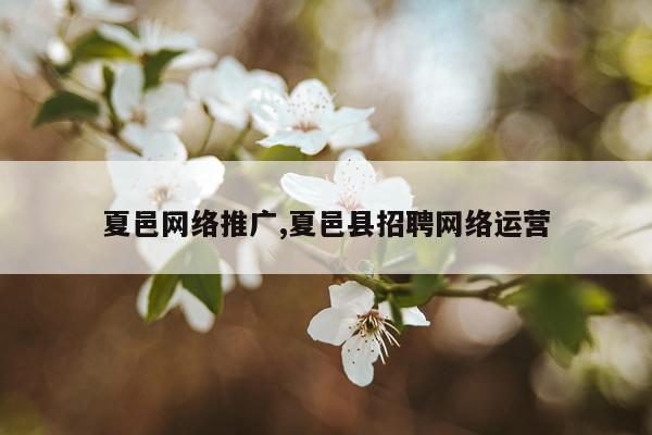 夏邑网络推广,夏邑县招聘网络运营