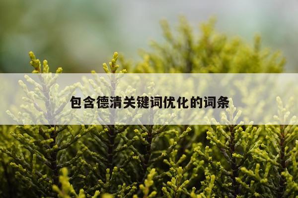 包含德清关键词优化的词条