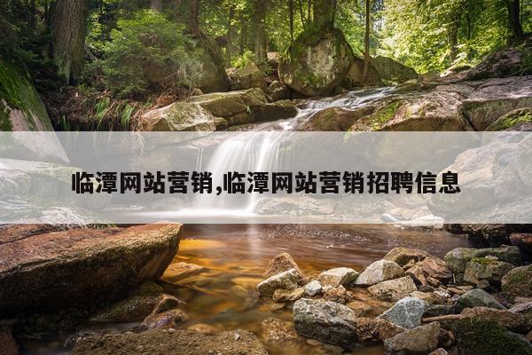 临潭网站营销,临潭网站营销招聘信息