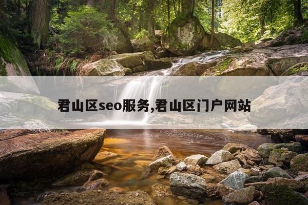 君山区seo服务,君山区门户网站