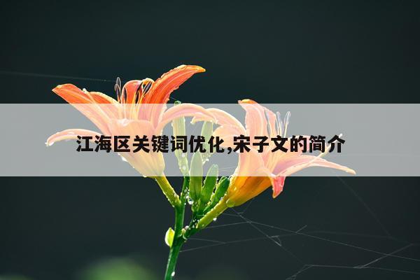 江海区关键词优化,宋子文的简介