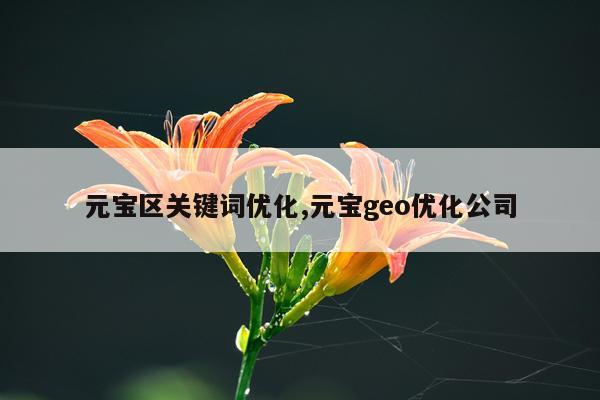 元宝区关键词优化,元宝geo优化公司