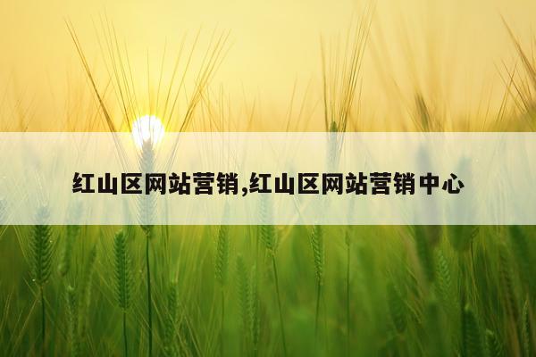红山区网站营销,红山区网站营销中心