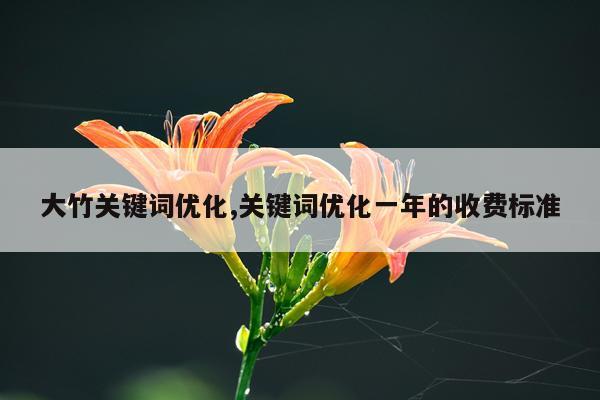 大竹关键词优化,关键词优化一年的收费标准