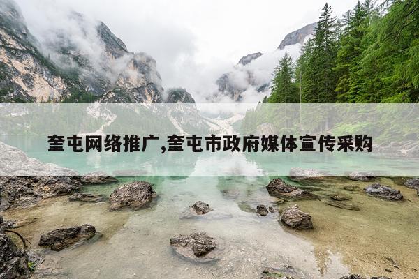 奎屯网络推广,奎屯市政府媒体宣传采购